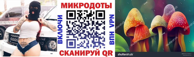 Галлюциногенные грибы Magic Shrooms  продажа наркотиков  Лениногорск 