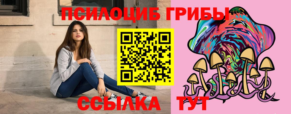 Псилоцибиновые грибы Psilocybine cubensis  Вход с VPN  Лениногорск 