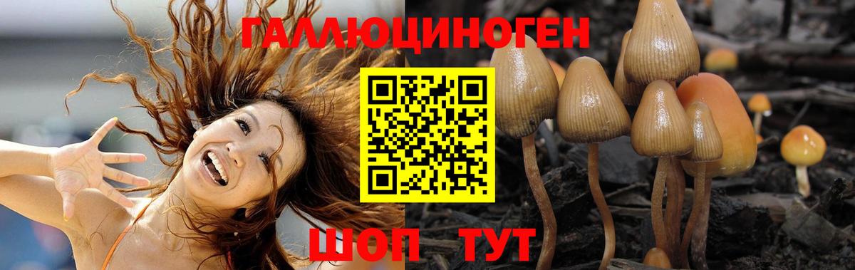 Галлюциногенные грибы Magic Shrooms Лениногорск